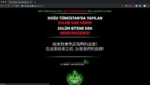 常见网络安全风险及应对策略 聚焦网络与信息安全软件开发