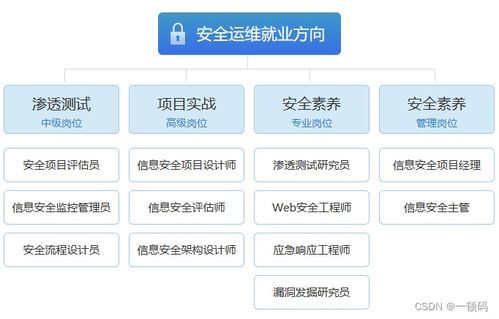 网络与信息安全软件开发 入行前的关键认知与路径规划