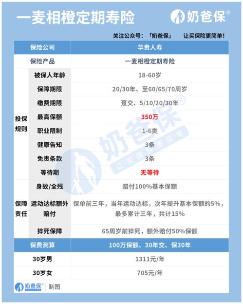 华贵一麦相橙定期寿险（互联网专属）深度评测 保障、性价比与网络信息安全视角下的思考